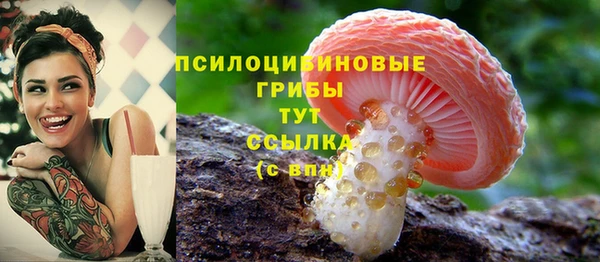 дмт Кинешма