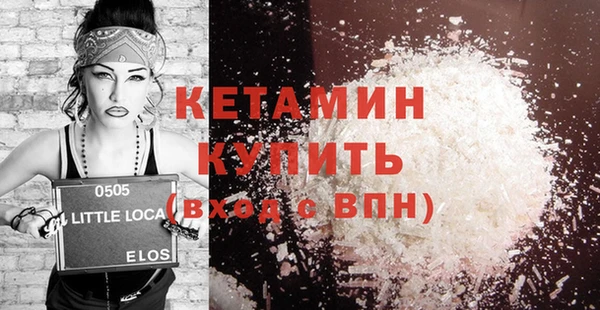 шишки Коряжма