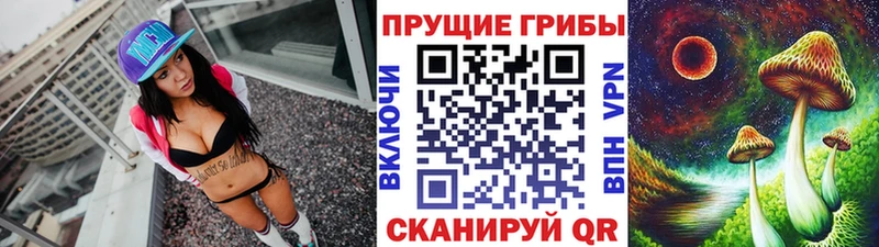 мега ссылки  Костерёво  Галлюциногенные грибы Cubensis 